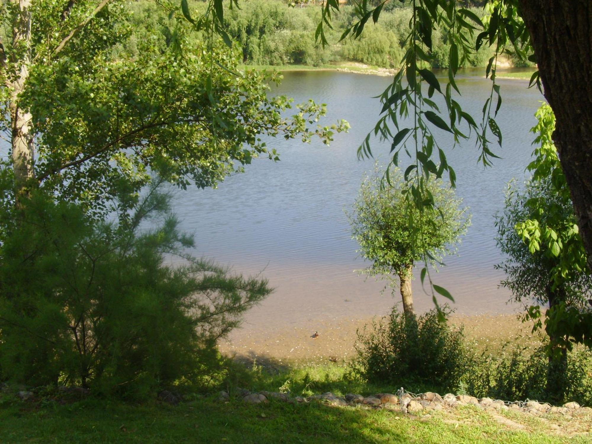 Casa Joao Chagas Guesthouse, Constância Zewnętrze zdjęcie