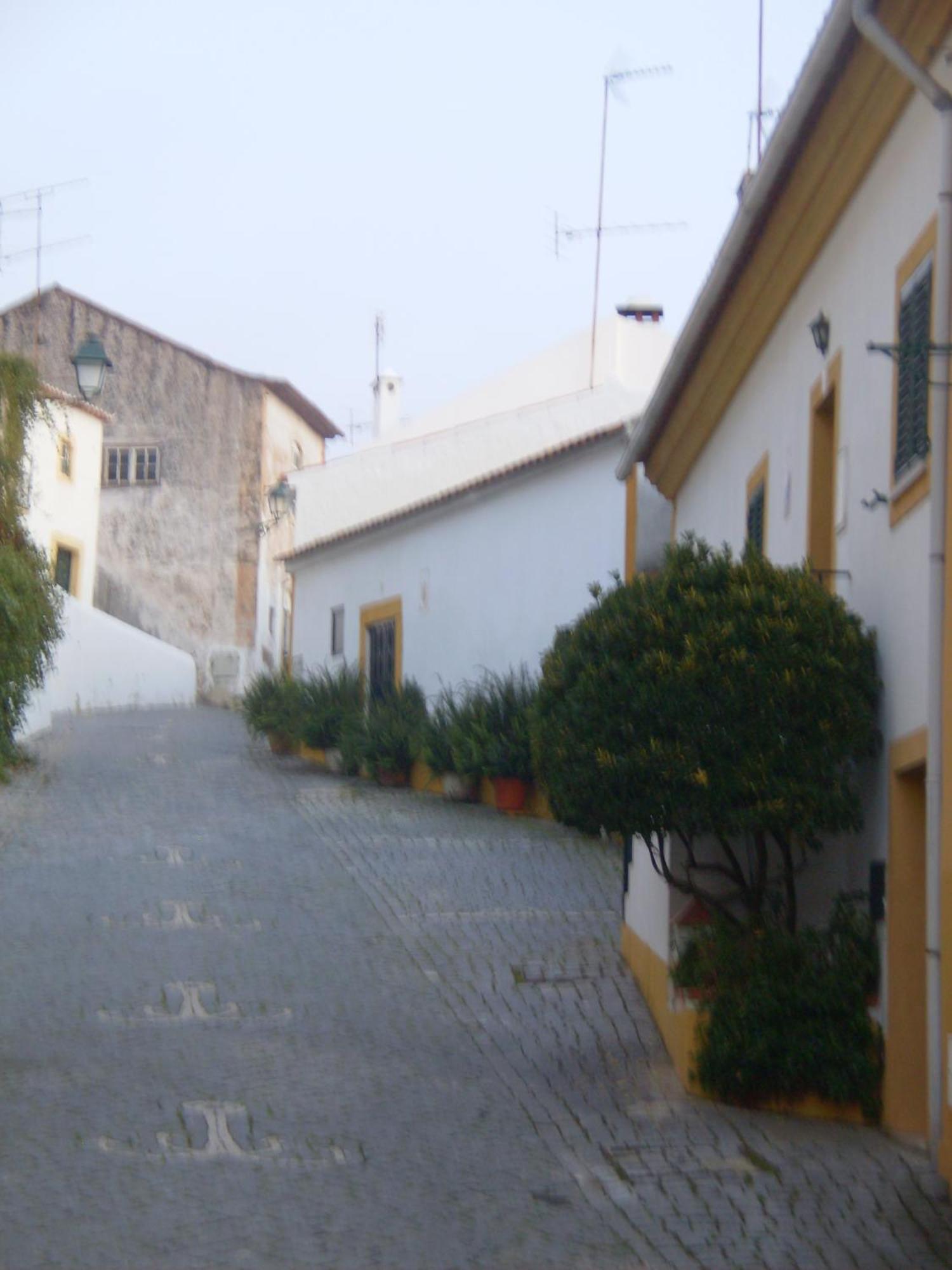 Casa Joao Chagas Guesthouse, Constancia, By Viva A Vida - Alojamentos E Hotels Zewnętrze zdjęcie